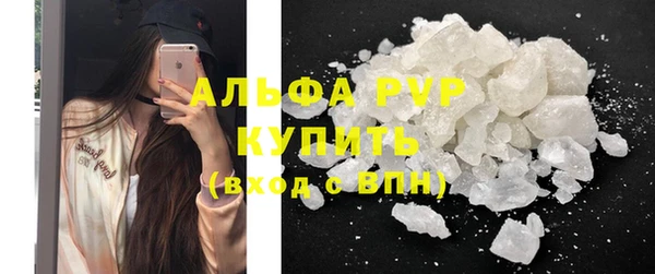 соль ск Новодвинск