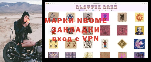 амф Новокубанск