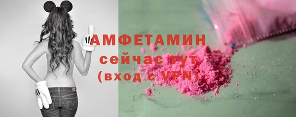 соль ск Новодвинск