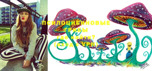 амф Новокубанск