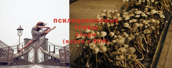 амф Новокубанск