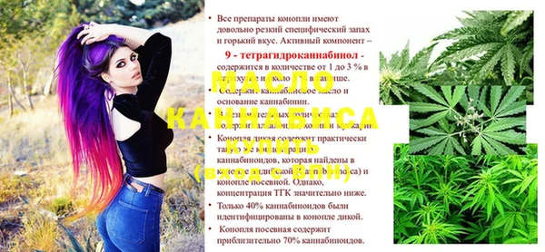 спайс Няндома