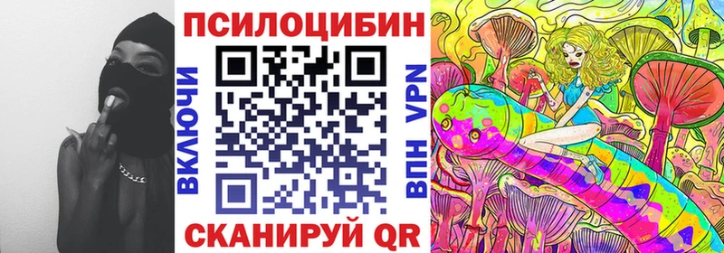 OMG Нариманов Псилоцибиновые грибы Psilocybe дарнет шоп